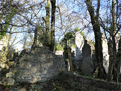 Ruined walls