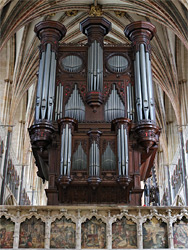 The organ