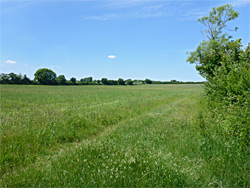 The northwest field