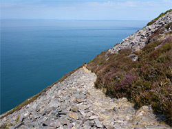 Path across scree