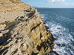 Cliff at the Fossil Forest