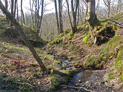 Small stream