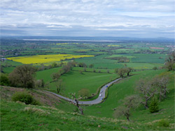 Coaley Peak