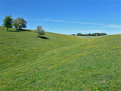 Grassy slopes