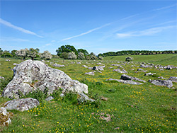 Stones and a fence