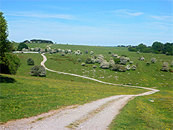 Winding track