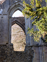North transept windows