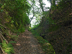 Path to Glenthorne Beach