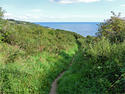 Path near Goat Island