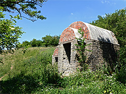 Trees beside the Powder House