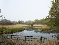 Boardwalk