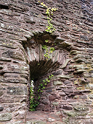 Window with ivy