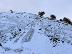 Farm track