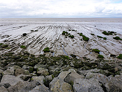 Boulders and mud