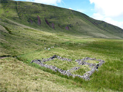 Ruin near Gwal y Cadno