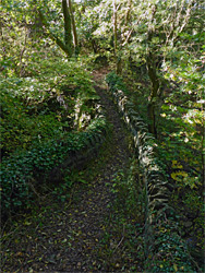 Path over the pack bridge