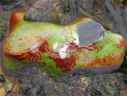 Yellow-green-red nodule