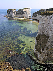 Chalk cliffs