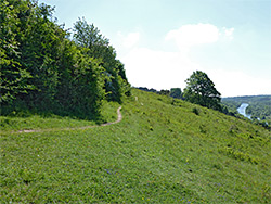 Edge of the grassland