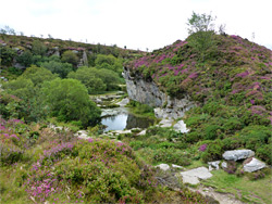 Edge of the quarry