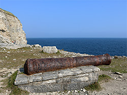 Cannon