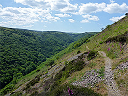 Clouds above the valley