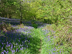 Hilltop path