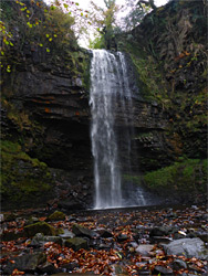 Leaves below Henrhyd Falls