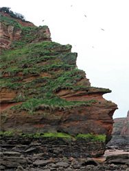 Edge of Hern Rock Point