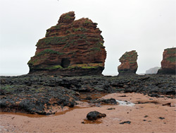 Hern Rock, and another stack