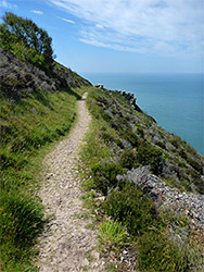 Grassy path