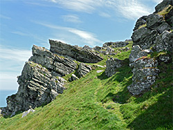 Grass and rock