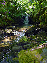 Mossy rocks