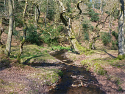 Hodders's Combe