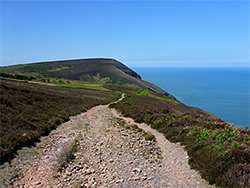 Path across Holdstone Down