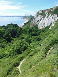 Path into the Hooken Undercliffs