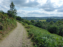 Path near Hunter's Tor