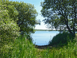 Edge of Kenfig Pool