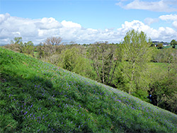 Sloping grassland