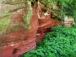 Red rocks