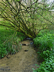 Kilcott Brook