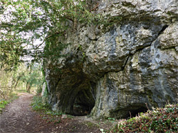 Limestone cliff