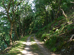 Kipscombe Enclosure