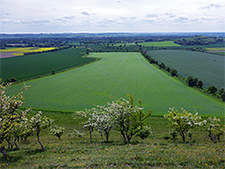Field south of Knap Hill