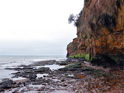 South edge of Ladram Bay