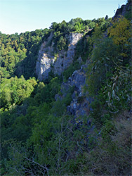 Top of the cliffs