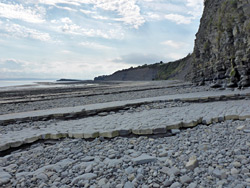 Strata near Lavernock Point