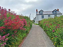 Road from Lee Bay