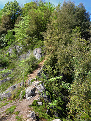 Path down the cliffs