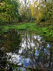 Reflective pool